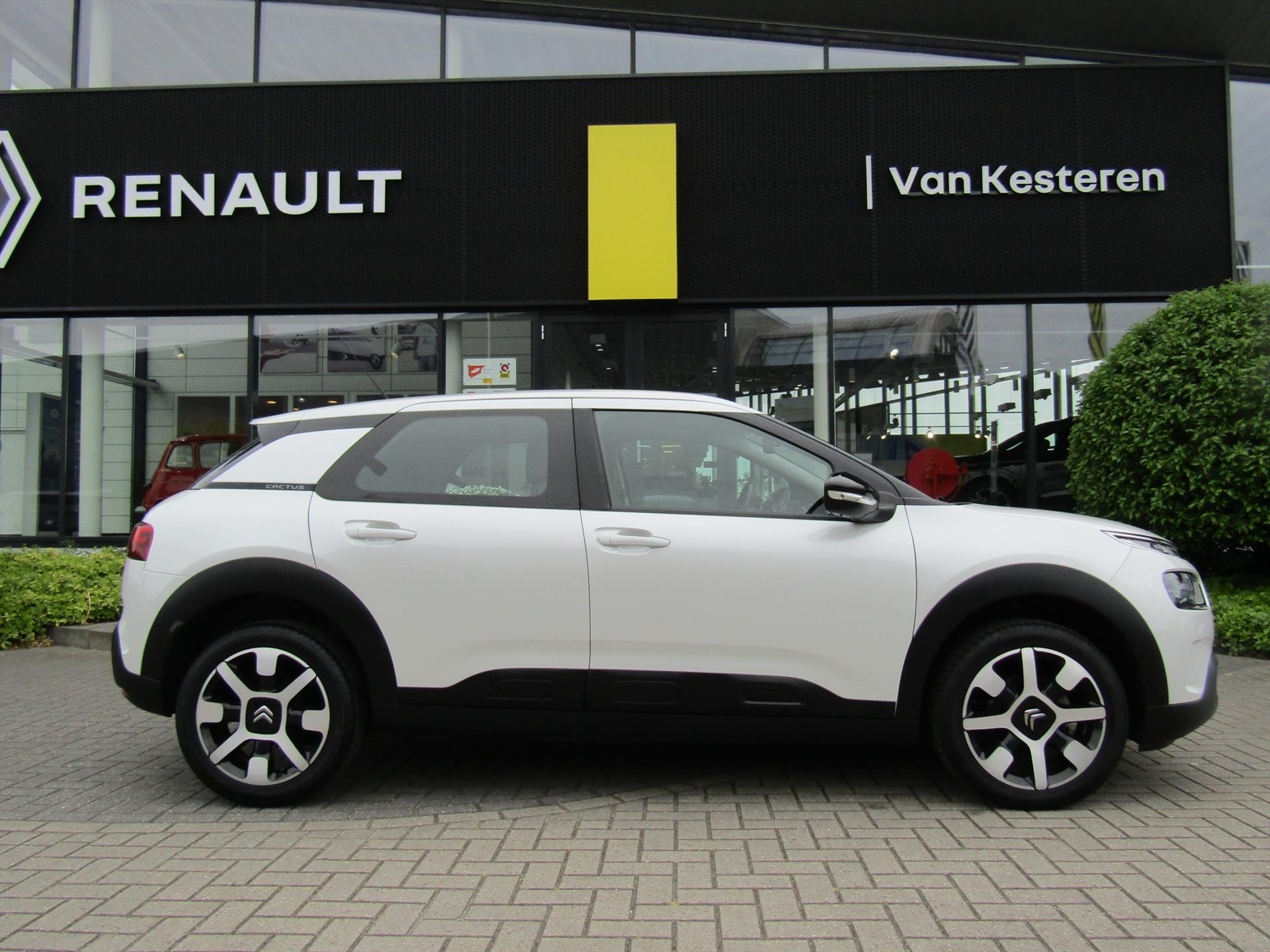 CITROEN C4 Cactus PureTech 110pk SHINE / Trekhaak / Navigatie / Camera / Lmv / Cruise-Control